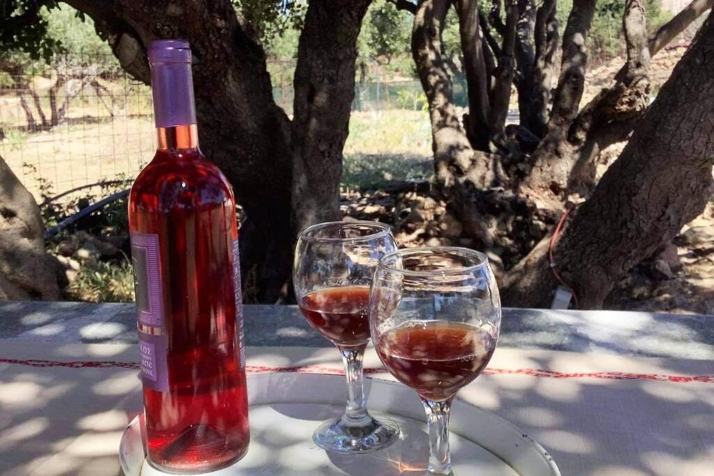 Haroupia Villa Elafonisi Dış mekan fotoğraf